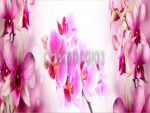 Фартуки