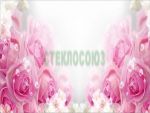 Фартуки