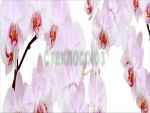 Фартуки
