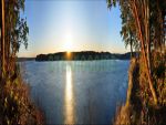 Фартуки