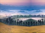 Фартуки
