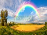 Фартуки