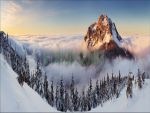 Фартуки
