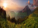 Фартуки