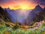 Фартуки