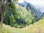 Фартуки
