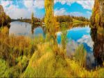 Фартуки