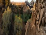 Фартуки