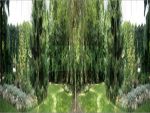 Фартуки